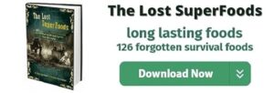 The lost superfoods book